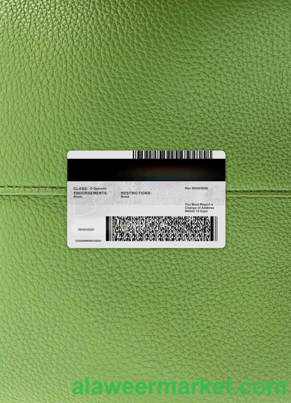 USA Arizona Driver License photolook BACK